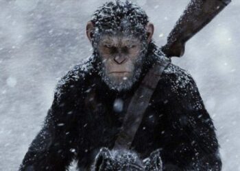 Like Humans, Monkeys Are Also Developing, Leaving The Forest And Living On The Land.