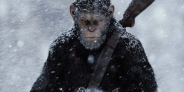 Like Humans, Monkeys Are Also Developing, Leaving The Forest And Living On The Land.
