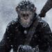 Like Humans, Monkeys Are Also Developing, Leaving The Forest And Living On The Land.