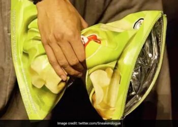 Lays चिप्स जैसे दिखने वाले इस बैग की कीमत 1 लाख 40 हज़ार रुपये, ये कचरा फेंकने के लिए है बस