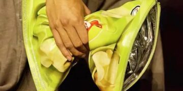 Lays चिप्स जैसे दिखने वाले इस बैग की कीमत 1 लाख 40 हज़ार रुपये, ये कचरा फेंकने के लिए है बस