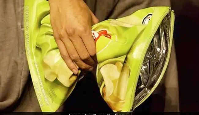 Lays चिप्स जैसे दिखने वाले इस बैग की कीमत 1 लाख 40 हज़ार रुपये, ये कचरा फेंकने के लिए है बस