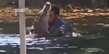 Man Dancing With Crocodile In Pond Old Video Goes Viral – मगरमच्छ को गले से लगाकर डांस कर रहा था शख्स, किसी ने बना लिया Video, लोग बोले