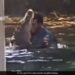 Man Dancing With Crocodile In Pond Old Video Goes Viral – मगरमच्छ को गले से लगाकर डांस कर रहा था शख्स, किसी ने बना लिया Video, लोग बोले