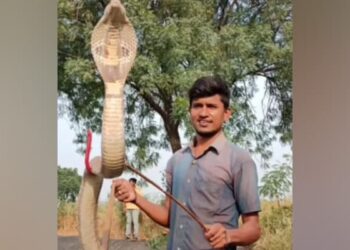 Man Rescues Massive King Cobra From Pond | Snake Catcher Shocked To See A King Cobra
