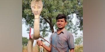 Man Rescues Massive King Cobra From Pond | Snake Catcher Shocked To See A King Cobra