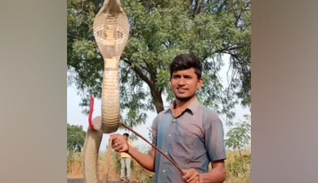 Man Rescues Massive King Cobra From Pond | Snake Catcher Shocked To See A King Cobra
