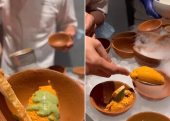 Butter Chicken Ice Cream With Pudina Chatni Video: Chef Served Mint Chutney Butter Chicken Ice Cream People Shocked