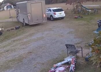 Watch Funny Video: Goats Dramatic Reaction Of Fainting On Seeing Parcel Truck Will Make You Laugh