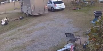 Watch Funny Video: Goats Dramatic Reaction Of Fainting On Seeing Parcel Truck Will Make You Laugh