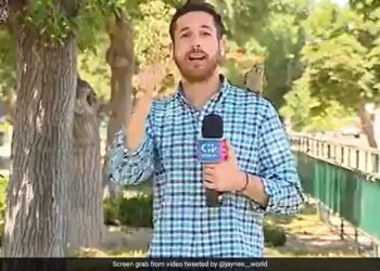 Video Journalist Was Reporting Crime, The Parrot Stole The Earphones – Video : …जब लाइव रिपोर्टिंग कर रहा था पत्रकार, तोता इयरफोन चुरा कर ले उड़ा