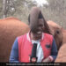Elephant Tickles Reporter During Live Report Then This Happened Next See Funny Viral Video