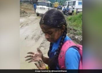 The Girl Was Going To School, The Mud From The Car, The IAS Said- Slow Down The Car After Seeing The Children On The Way – स्कूल जा रही थी बच्ची, गाड़ी से पड़ा कीचड़, IAS ने कहा