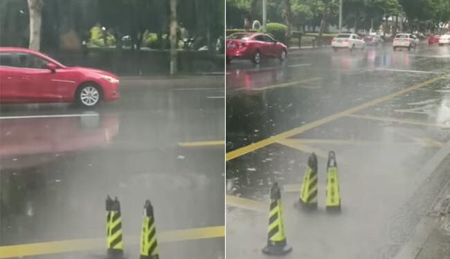 Rain Viral Video: Traffic Cones Are Seen Swinging With Strong Gusts Of Wind During Rain