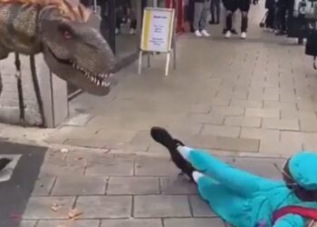 सड़क पर अचानक आ गया ख़तरनाक जानवर, जिसे देख लोग अपनी जान बचाने लगे, जानें इसकी सच्चाई