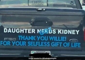 This Persons Gesture To Thank Daughters Kidney Donor Is Wholesome: Daughter Need A Kidney Father Got It Written On The Back Of The Car