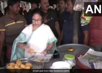 West Bengal CM Mamata Banerjee Stopped Her Convoy At A Roadside Tea Stall And Started Serving Pakoda To The People, In Jhargram