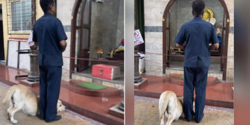Dog Bows Down Pays Respect To Lord Ganesha Outside Temple Internet Loves It See Viral Video