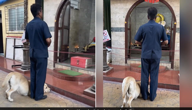 Dog Bows Down Pays Respect To Lord Ganesha Outside Temple Internet Loves It See Viral Video