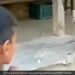 Boy Was Teasing Monkey Jumped And Attack On Him Then What Happened Next In Viral Video