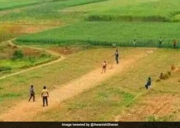By Sharing The Picture Of Playing Cricket In The Village, The IAS Asked – Tell The Rules Of This Game? What Do You Think – गांव में क्रिकेट खेलने की तस्वीर शेयर कर आईएएस ने पूछा