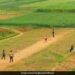 By Sharing The Picture Of Playing Cricket In The Village, The IAS Asked – Tell The Rules Of This Game? What Do You Think – गांव में क्रिकेट खेलने की तस्वीर शेयर कर आईएएस ने पूछा
