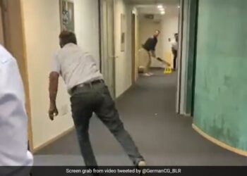German Officials Learn Cricket Inside Office From Indian Colleagues See Viral Video