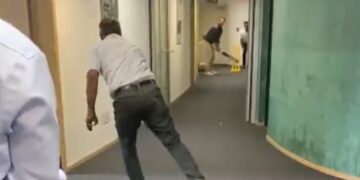 German Officials Learn Cricket Inside Office From Indian Colleagues See Viral Video