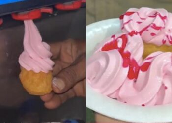 Golgappa Ice Cream Video: Weird Dishes Video,viral Golgappa Softy, Weird Dish With Ice Cream And Golgappa Video