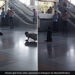 Dog Does Yoga With CISF Personnel At Delhi Metro Station Internet Loves It See Viral Video
