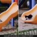 Cat Playing On Slide At A Park Fell Down Then Started Doing Such Funny Act – बिल्ली पार्क में लेट-लेटकर झूल रही थी झूला, धड़ाम से गिरी नीचे, फिर करने लगी ऐसी हरकत