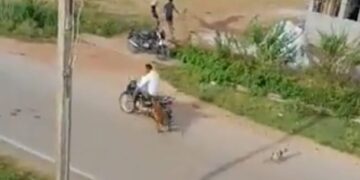 Leopard Attack On Bike Rider Animal Jump On Him Then What Happened Next See Shocking Viral Video