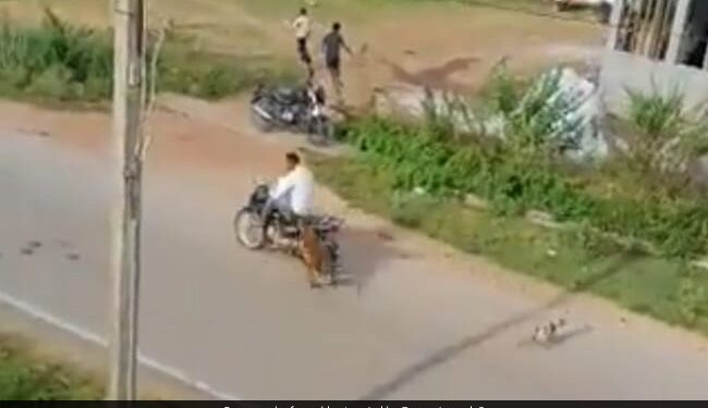 Leopard Attack On Bike Rider Animal Jump On Him Then What Happened Next See Shocking Viral Video
