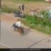 Leopard Attack On Bike Rider Animal Jump On Him Then What Happened Next See Shocking Viral Video