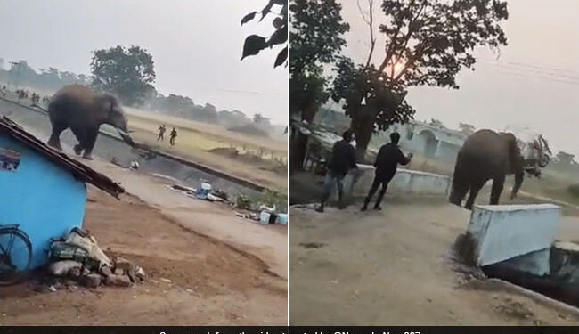 Elephant Picked Up The Bike With Its Trunk Threw It Swaying In The Air Like A Football And Then See Viral Video