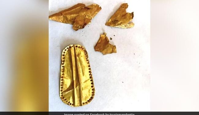 मिस्र में मिली अनोखी ममी जिसकी जीभ है सोने की, तस्वीर देखने के बाद हैरान हो जायेंगे