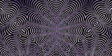 Which Animal Do You See In This Picture? Those Who Tell Will Be Called Wise Person
