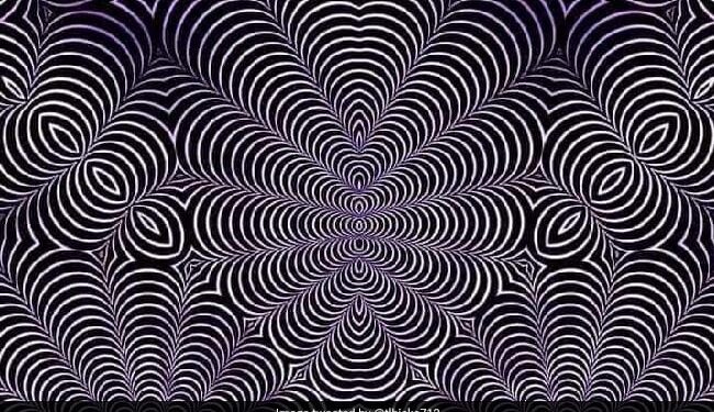 Which Animal Do You See In This Picture? Those Who Tell Will Be Called Wise Person