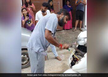 King Cobra Hidden Inside Scooter Man Catches It With Bare Hands Then What Happened Next See Shocking Video