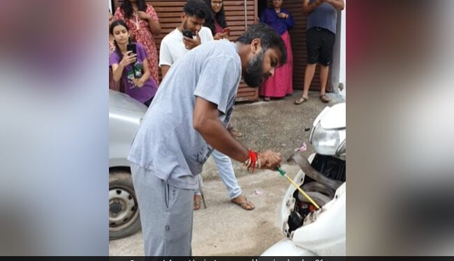 King Cobra Hidden Inside Scooter Man Catches It With Bare Hands Then What Happened Next See Shocking Video