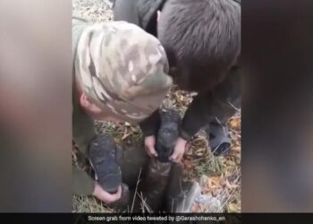 नाले में फंसा हुआ था कुत्ता, ज़िंदगी-मौत से लड़ रहा था, जान पर खेल कर आर्मी ने डॉग की जान बचाई