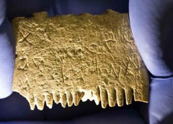 Thousands Of Years Old Comb Found In This Country, 3700 Years Old Secrets Are Hidden In It