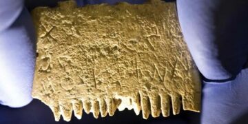 Thousands Of Years Old Comb Found In This Country, 3700 Years Old Secrets Are Hidden In It