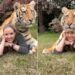 Tiger Poses For A Photo With Girl: Woman Poses With Tiger Shocking Video Viral On Social Media