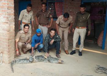Crocodile Entered House While Family Was Sleeping At Night In UP See Viral Video