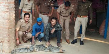 Crocodile Entered House While Family Was Sleeping At Night In UP See Viral Video