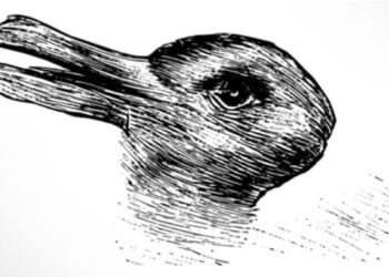 What Was The First Thing You Saw In This Picture | Optical Illusion There Are Two Different Creatures In This Picture Do You See It