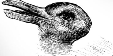 What Was The First Thing You Saw In This Picture | Optical Illusion There Are Two Different Creatures In This Picture Do You See It