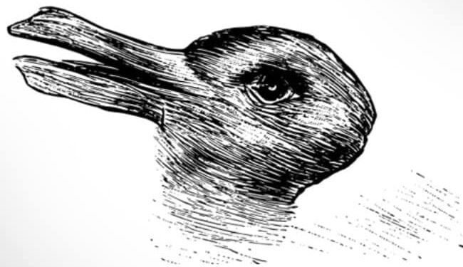 What Was The First Thing You Saw In This Picture | Optical Illusion There Are Two Different Creatures In This Picture Do You See It