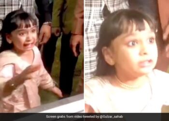 Little Girl Started Crying As Turkish Ice Cream Seller Plays Fun Trick On Her Internet Has Mixed Reactions